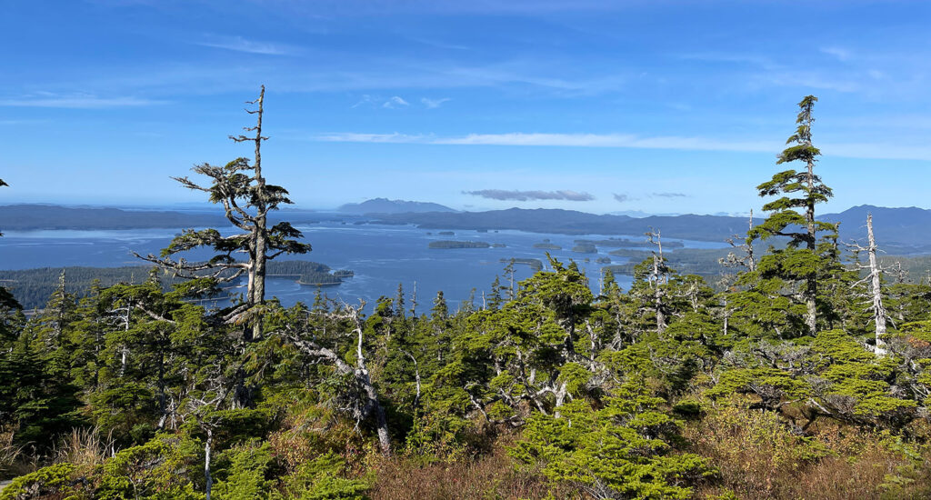 Elevated view across a coastal bay dotted with small forested islands