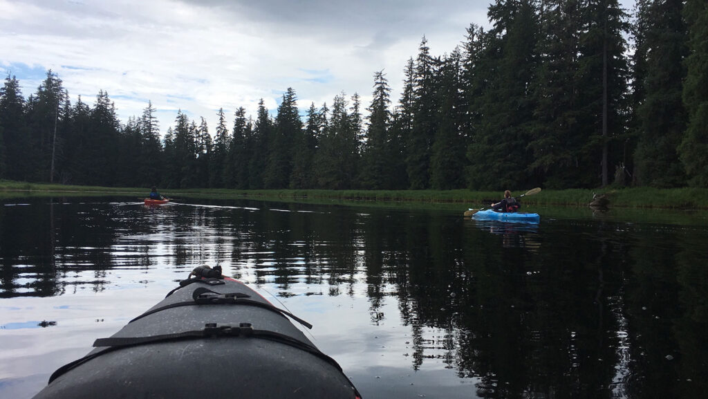 Kayakers paddling on a calm lake surrounded by dense evergreen forest